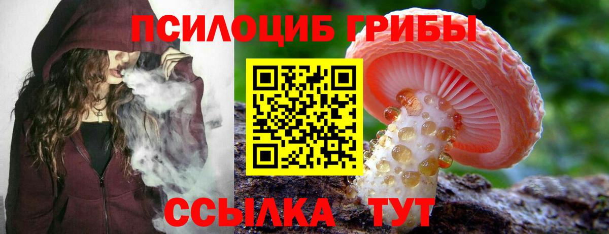 Псилоцибиновые грибы Psilocybine cubensis Химки