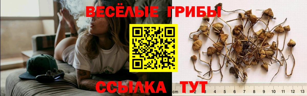 Химки  Псилоцибиновые грибы мухоморы  Псилоцибиновые грибы MAGIC MUSHROOMS  Вход с VPN 
